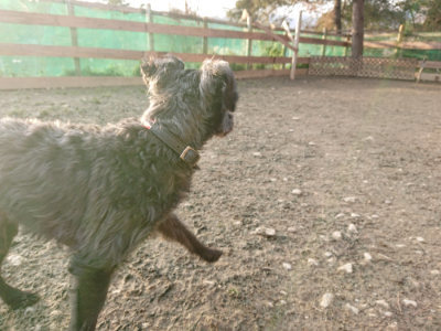 f:id:roukenhome-ann:20190218202207j:plain