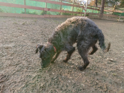 f:id:roukenhome-ann:20190218202228j:plain