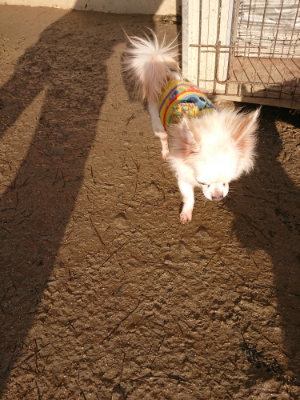 f:id:roukenhome-ann:20190219053236j:plain