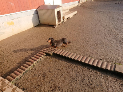 f:id:roukenhome-ann:20190219053240j:plain