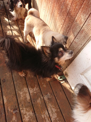 f:id:roukenhome-ann:20190219053416j:plain