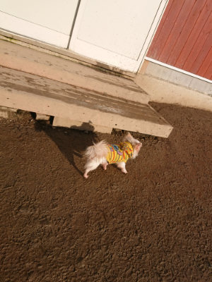 f:id:roukenhome-ann:20190219053422j:plain