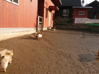 f:id:roukenhome-ann:20190219053428j:plain