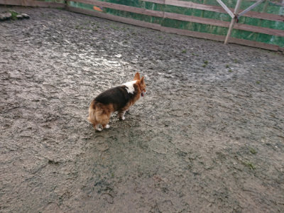 f:id:roukenhome-ann:20190219053443j:plain