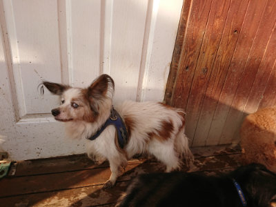 f:id:roukenhome-ann:20190219053509j:plain