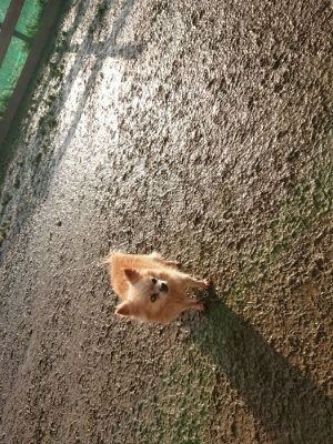 f:id:roukenhome-ann:20190219053520j:plain