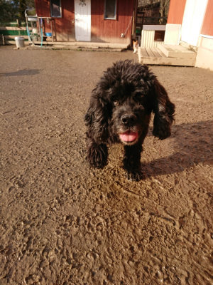 f:id:roukenhome-ann:20190219053542j:plain