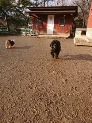 f:id:roukenhome-ann:20190219053605j:plain