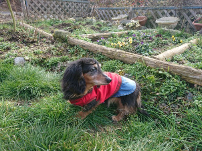 f:id:roukenhome-ann:20190219053716j:plain