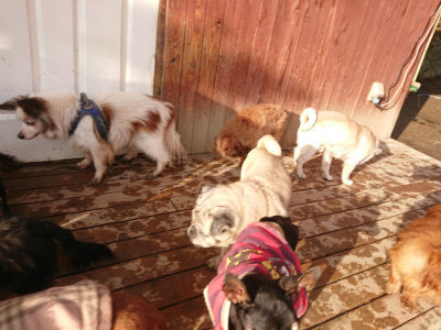 f:id:roukenhome-ann:20190219053743j:plain