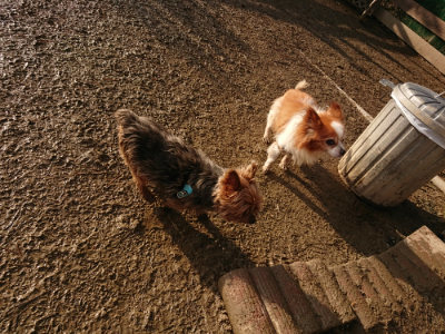 f:id:roukenhome-ann:20190219053759j:plain