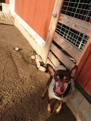 f:id:roukenhome-ann:20190219053811j:plain