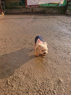 f:id:roukenhome-ann:20190219053839j:plain