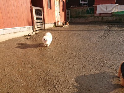 f:id:roukenhome-ann:20190219053912j:plain