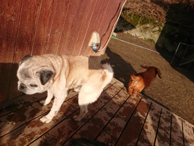 f:id:roukenhome-ann:20190219053934j:plain