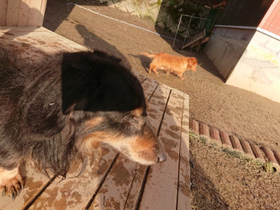 f:id:roukenhome-ann:20190219054009j:plain