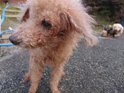 f:id:roukenhome-ann:20190219054037j:plain