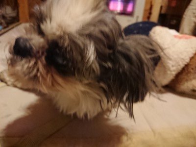 f:id:roukenhome-ann:20190219075331j:plain