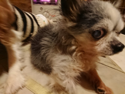 f:id:roukenhome-ann:20190219075336j:plain