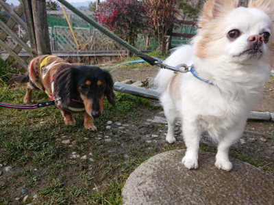 f:id:roukenhome-ann:20190219075359j:plain