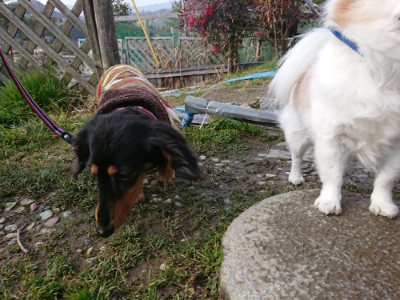 f:id:roukenhome-ann:20190219075406j:plain