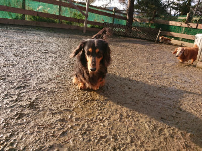 f:id:roukenhome-ann:20190219075411j:plain