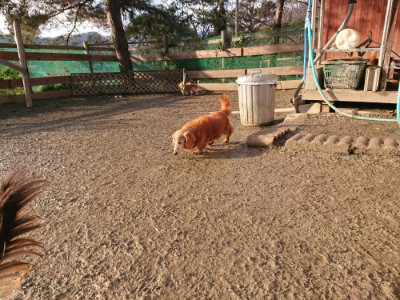 f:id:roukenhome-ann:20190219075417j:plain