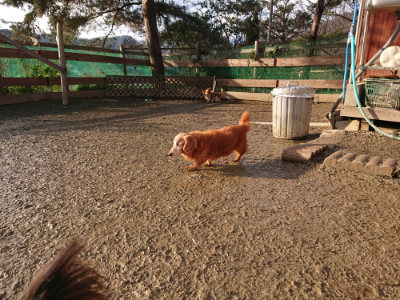 f:id:roukenhome-ann:20190219075422j:plain