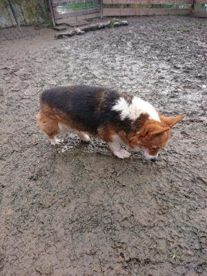 f:id:roukenhome-ann:20190219075435j:plain