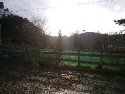f:id:roukenhome-ann:20190219075444j:plain