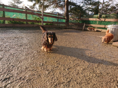 f:id:roukenhome-ann:20190219075449j:plain