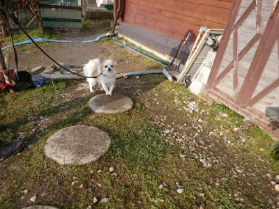 f:id:roukenhome-ann:20190219075454j:plain