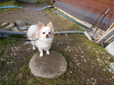 f:id:roukenhome-ann:20190219075509j:plain