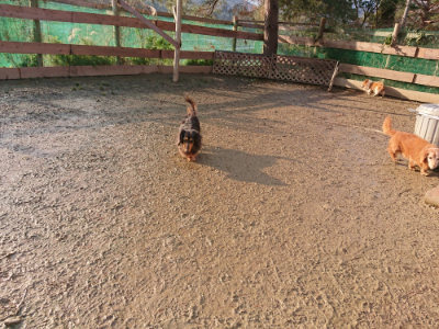 f:id:roukenhome-ann:20190219075515j:plain