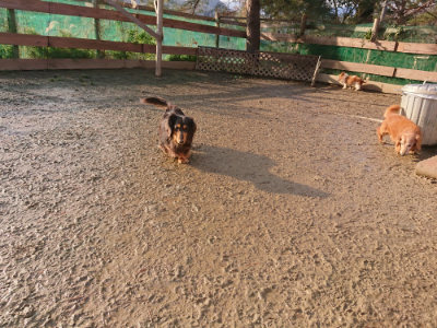 f:id:roukenhome-ann:20190219075520j:plain