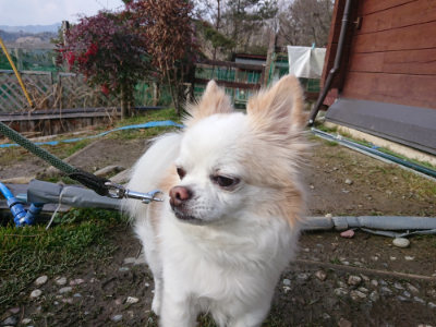 f:id:roukenhome-ann:20190219075549j:plain