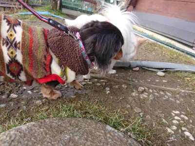 f:id:roukenhome-ann:20190219075608j:plain