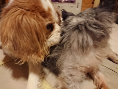 f:id:roukenhome-ann:20190219081950j:plain