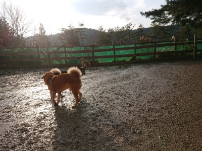 f:id:roukenhome-ann:20190219082017j:plain