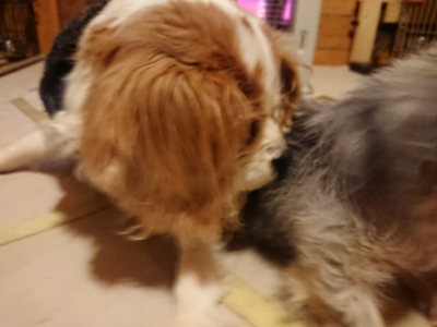 f:id:roukenhome-ann:20190219082023j:plain
