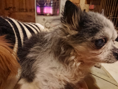 f:id:roukenhome-ann:20190219082044j:plain