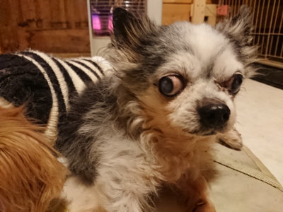 f:id:roukenhome-ann:20190219082049j:plain