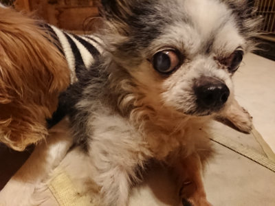 f:id:roukenhome-ann:20190219082105j:plain