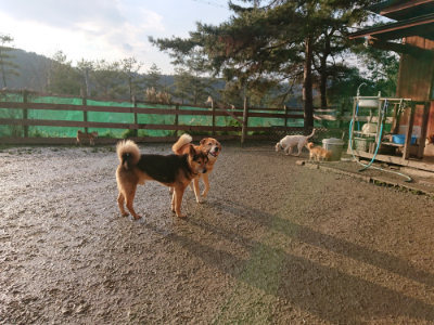 f:id:roukenhome-ann:20190219082128j:plain