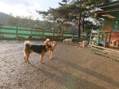 f:id:roukenhome-ann:20190219082133j:plain