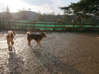 f:id:roukenhome-ann:20190219082154j:plain