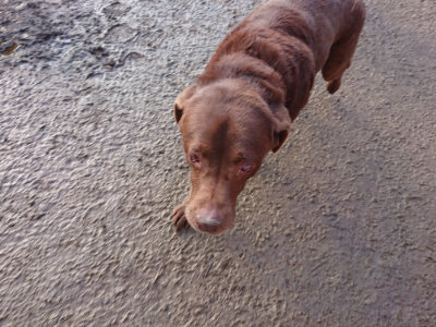 f:id:roukenhome-ann:20190219082200j:plain