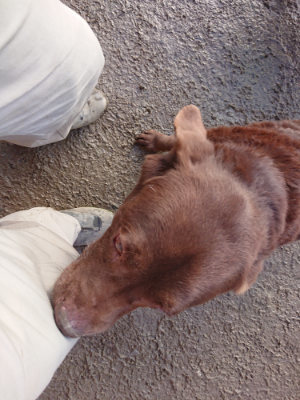 f:id:roukenhome-ann:20190219082213j:plain