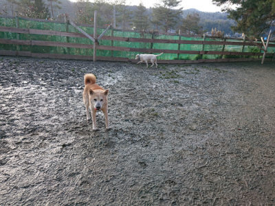 f:id:roukenhome-ann:20190219082225j:plain