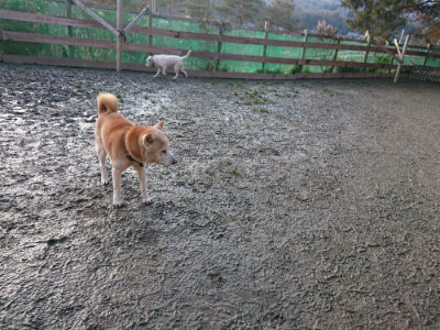 f:id:roukenhome-ann:20190219082230j:plain